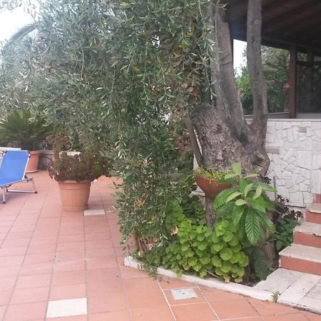 فيستَ Villa Monica Appartamenti المظهر الخارجي الصورة
