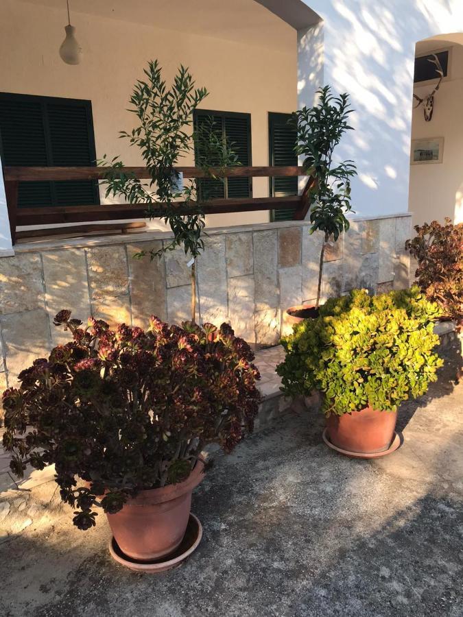 فيستَ Villa Monica Appartamenti المظهر الخارجي الصورة