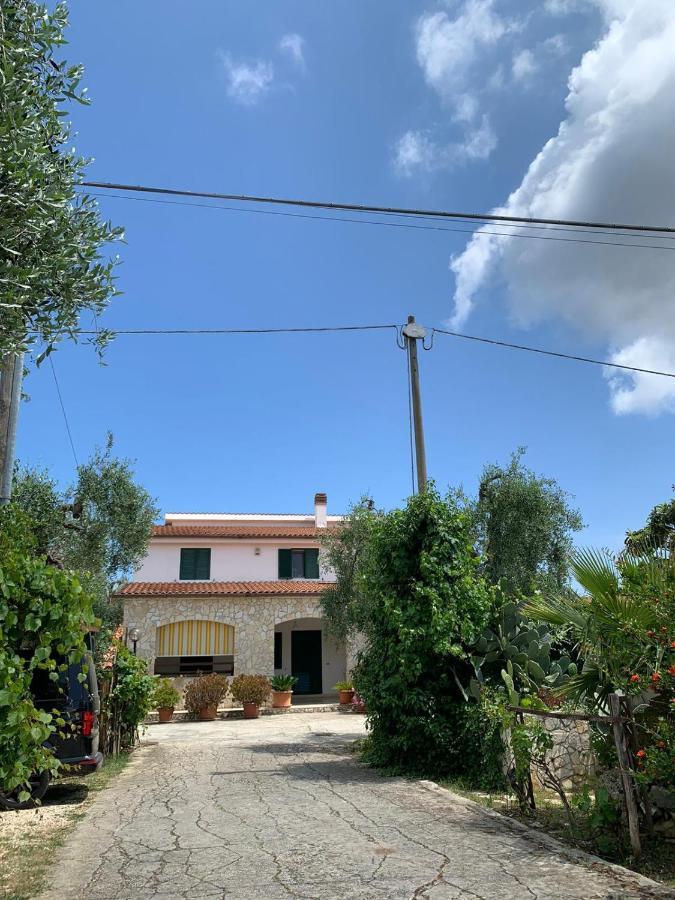 فيستَ Villa Monica Appartamenti المظهر الخارجي الصورة