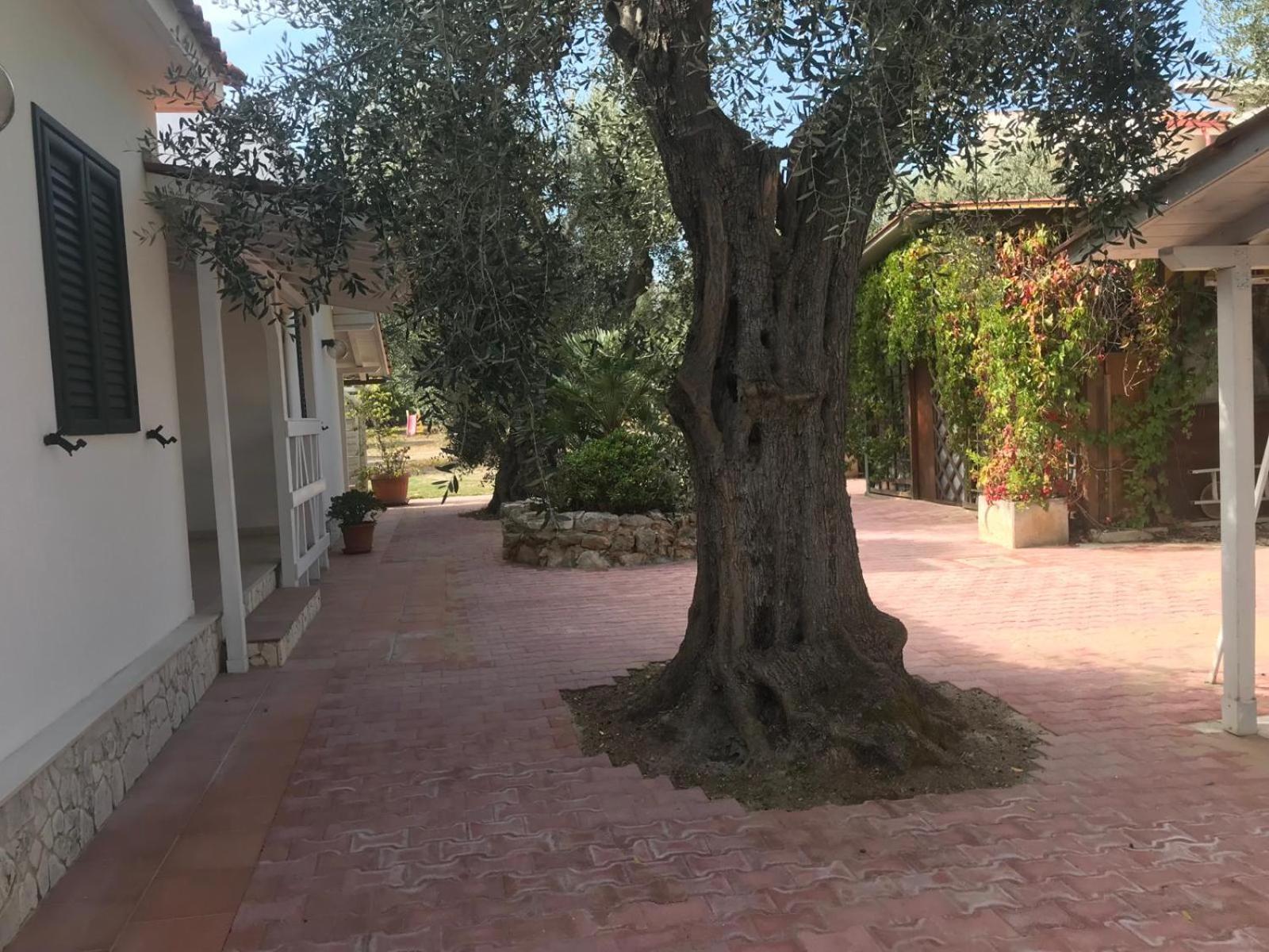 فيستَ Villa Monica Appartamenti المظهر الخارجي الصورة