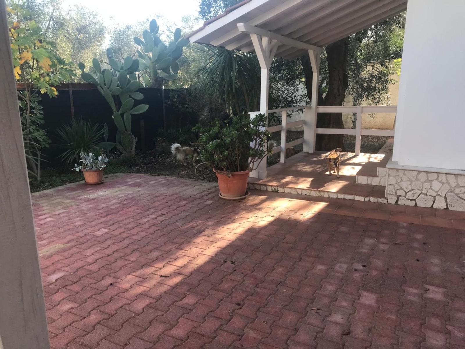 فيستَ Villa Monica Appartamenti المظهر الخارجي الصورة